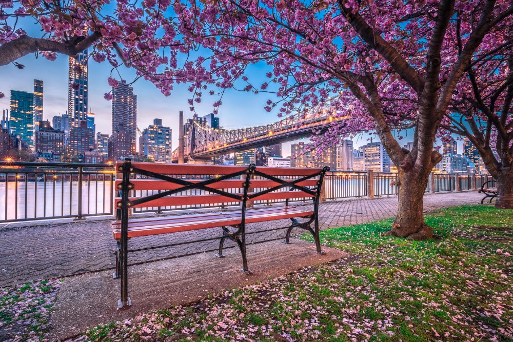 Fantastic Spring Activities in New York City
