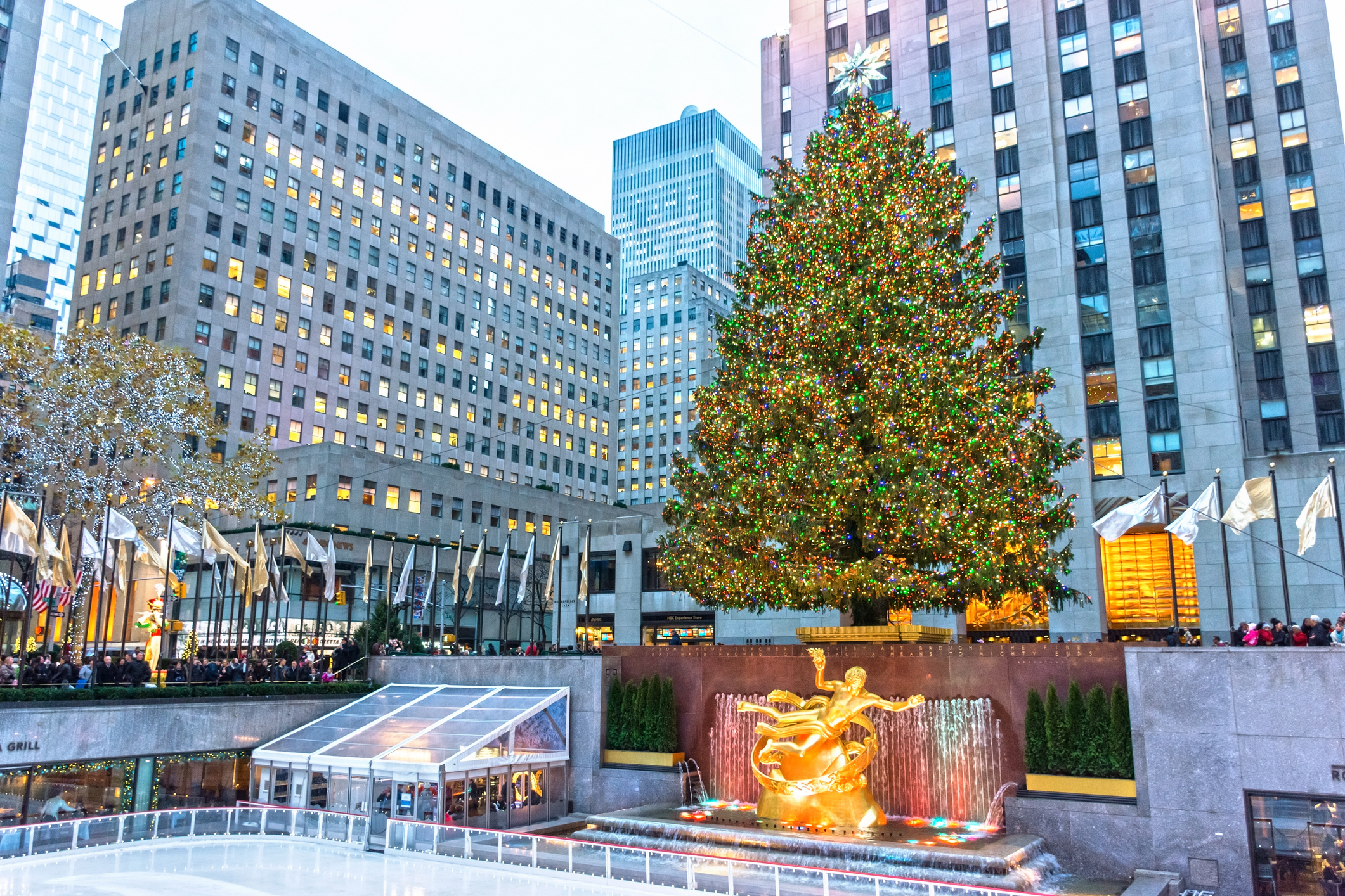 The Rockefeller Center Christmas Tree lit during the daytime